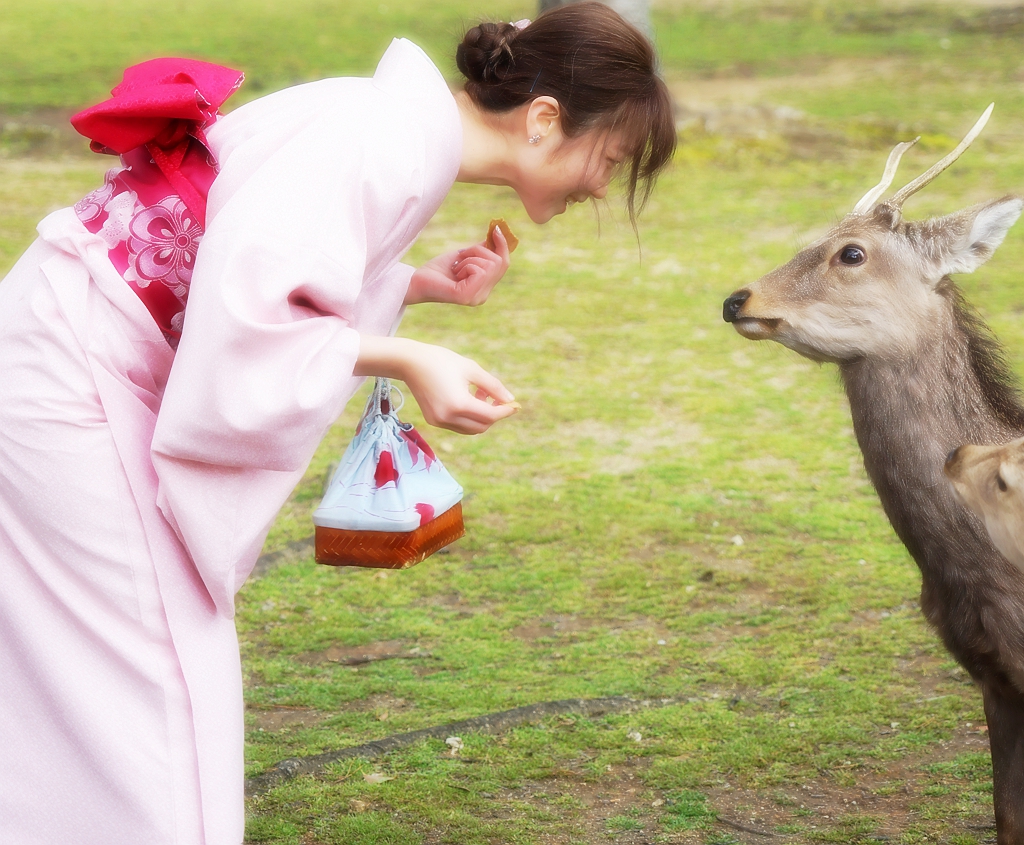 京都自助遊攻略