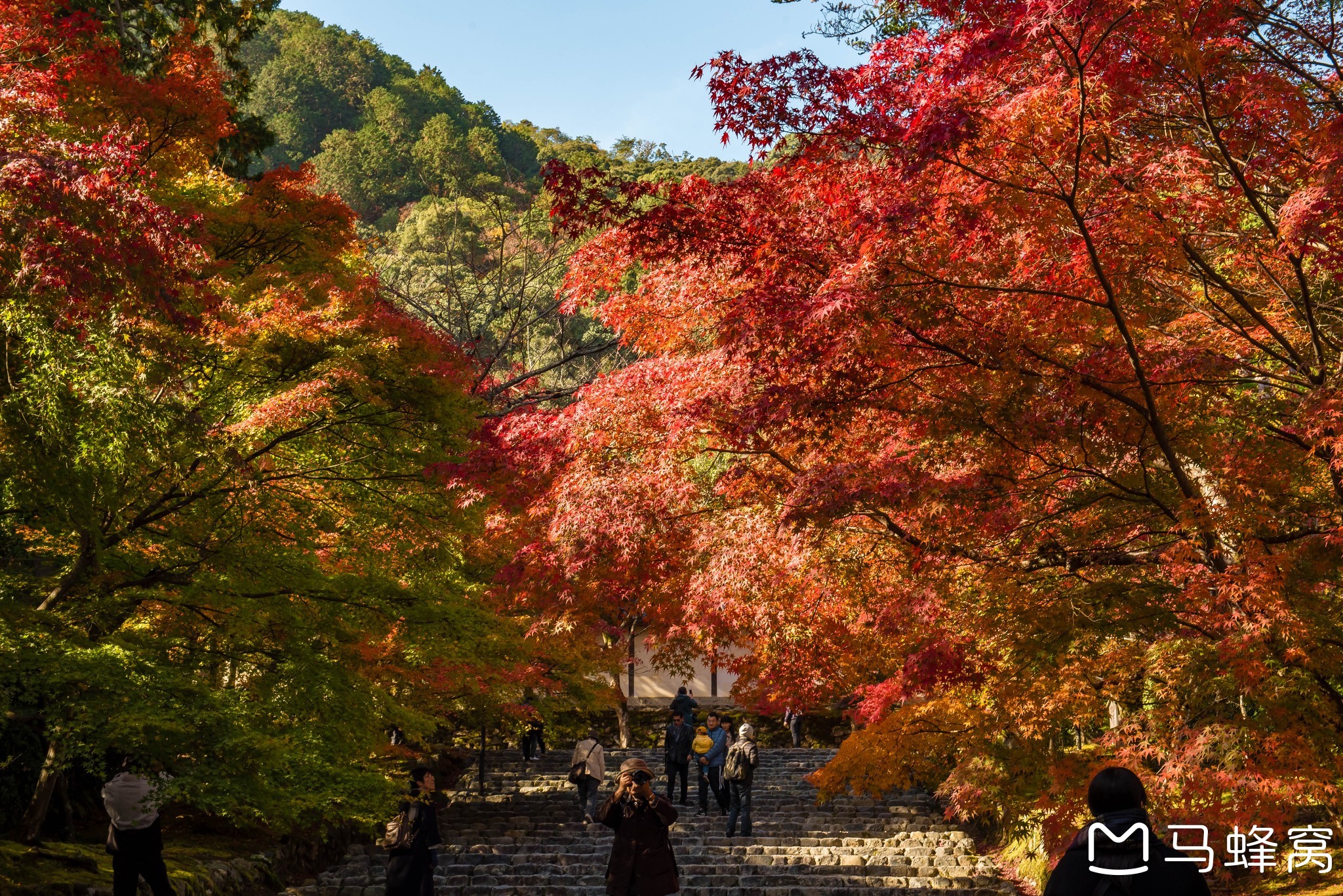 京都自助遊攻略