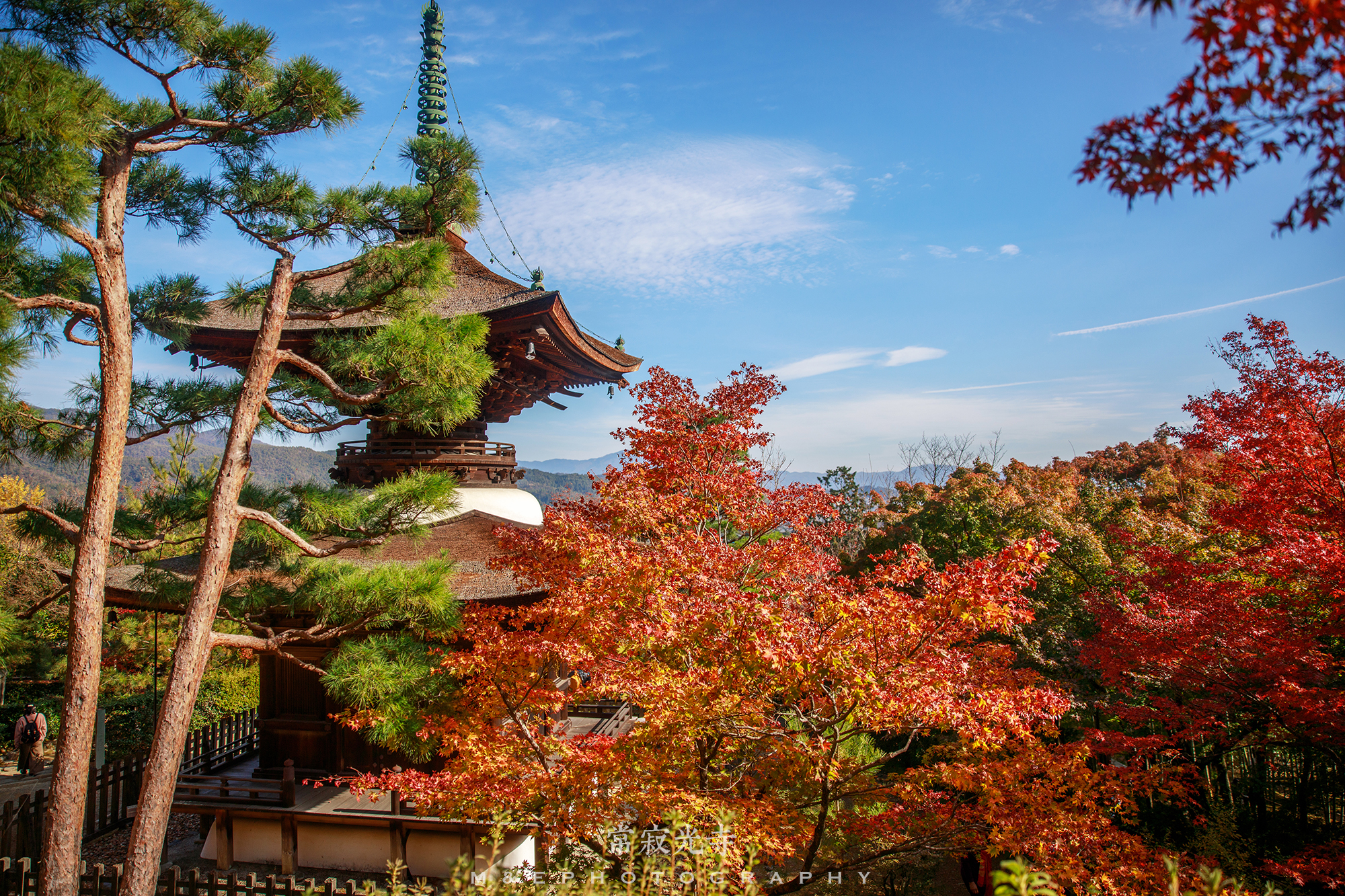 京都自助遊攻略