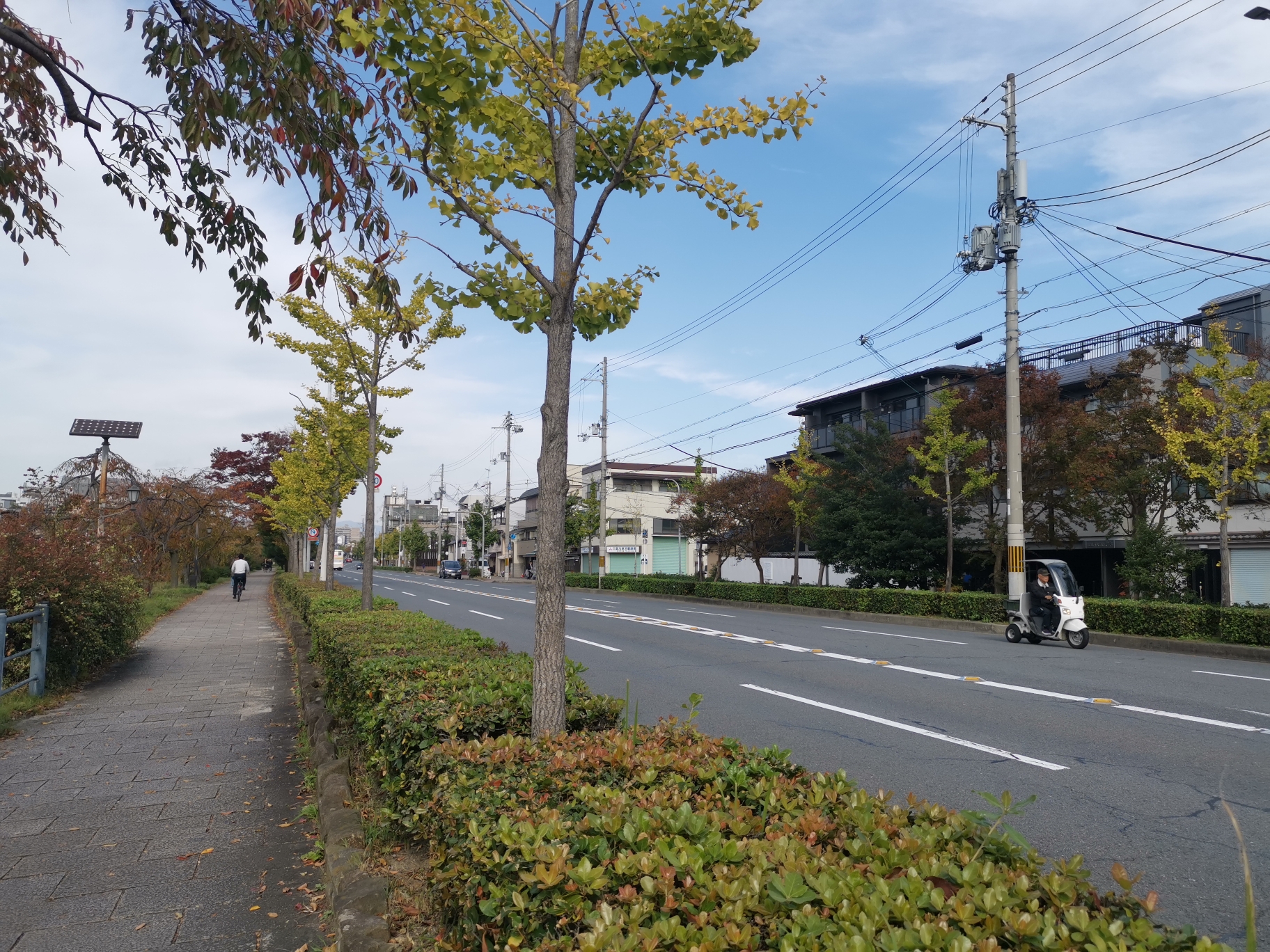 京都自助遊攻略