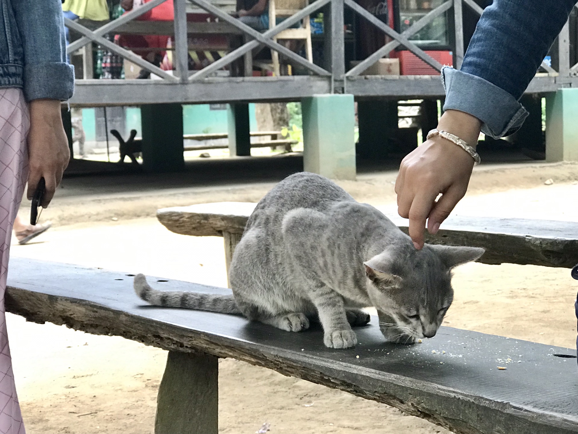 尼泊爾自助遊攻略