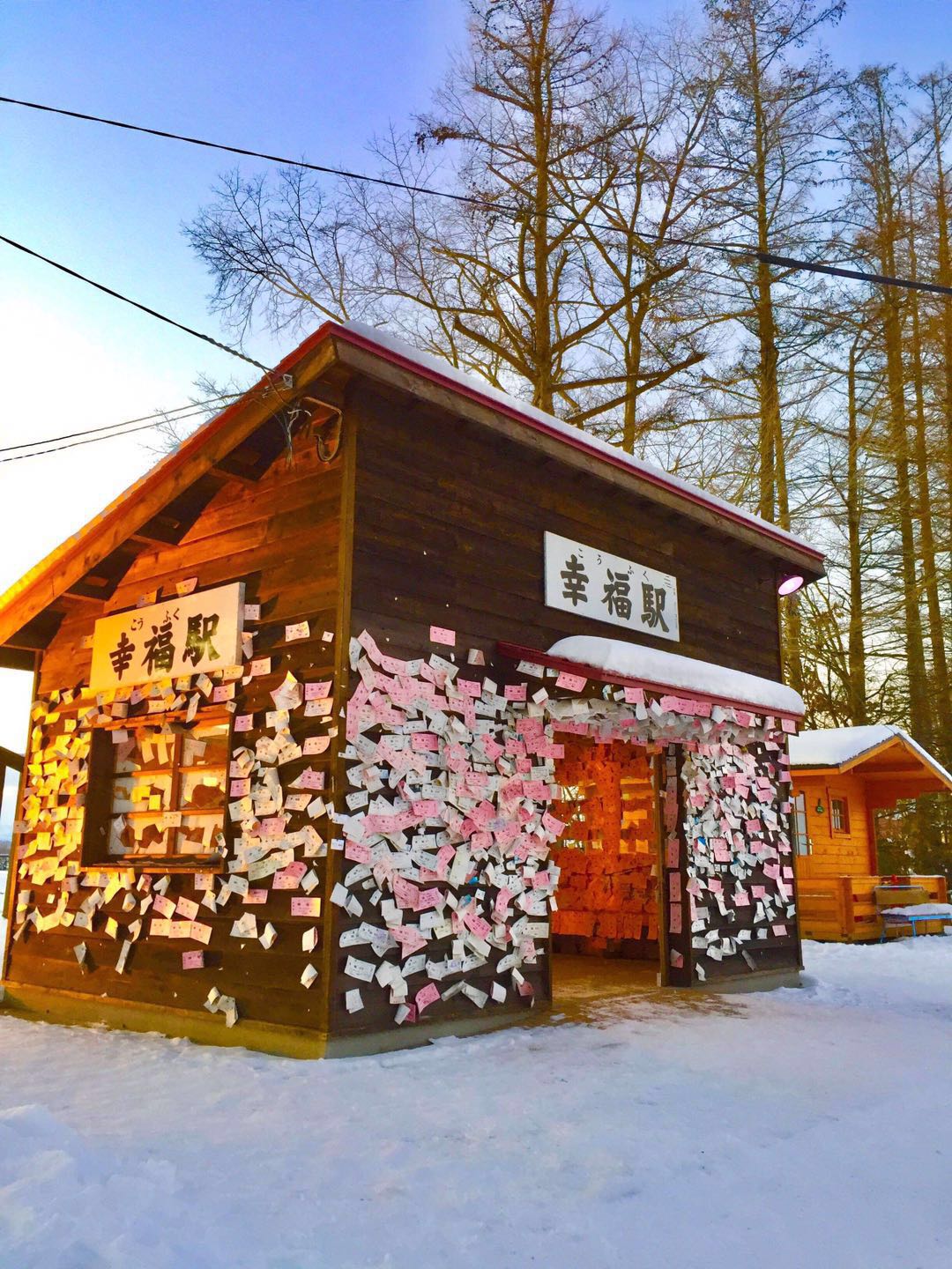 北海道自助遊攻略