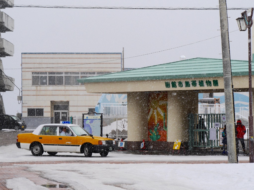 北海道自助遊攻略