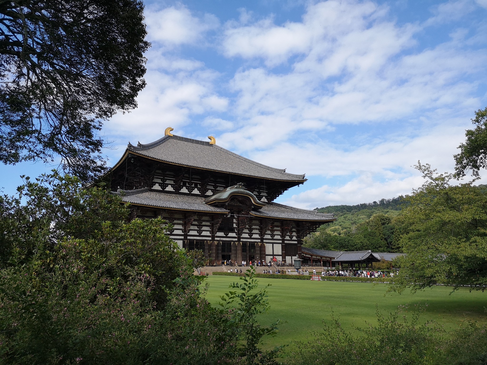 京都自助遊攻略