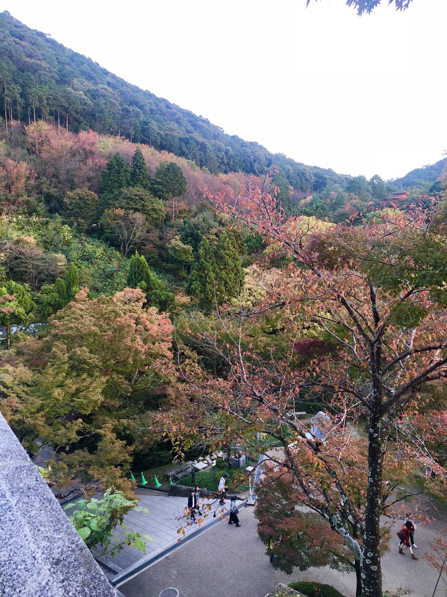 京都自助遊攻略