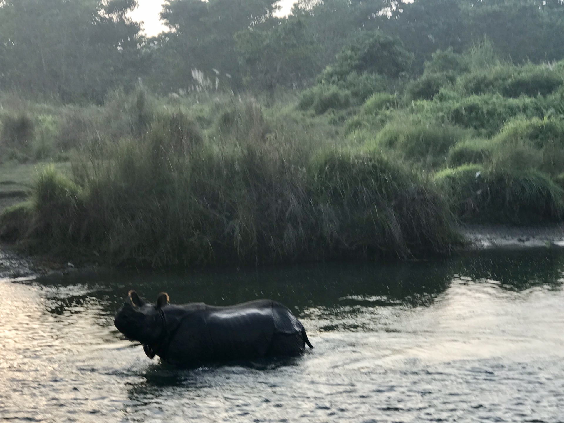 尼泊爾自助遊攻略