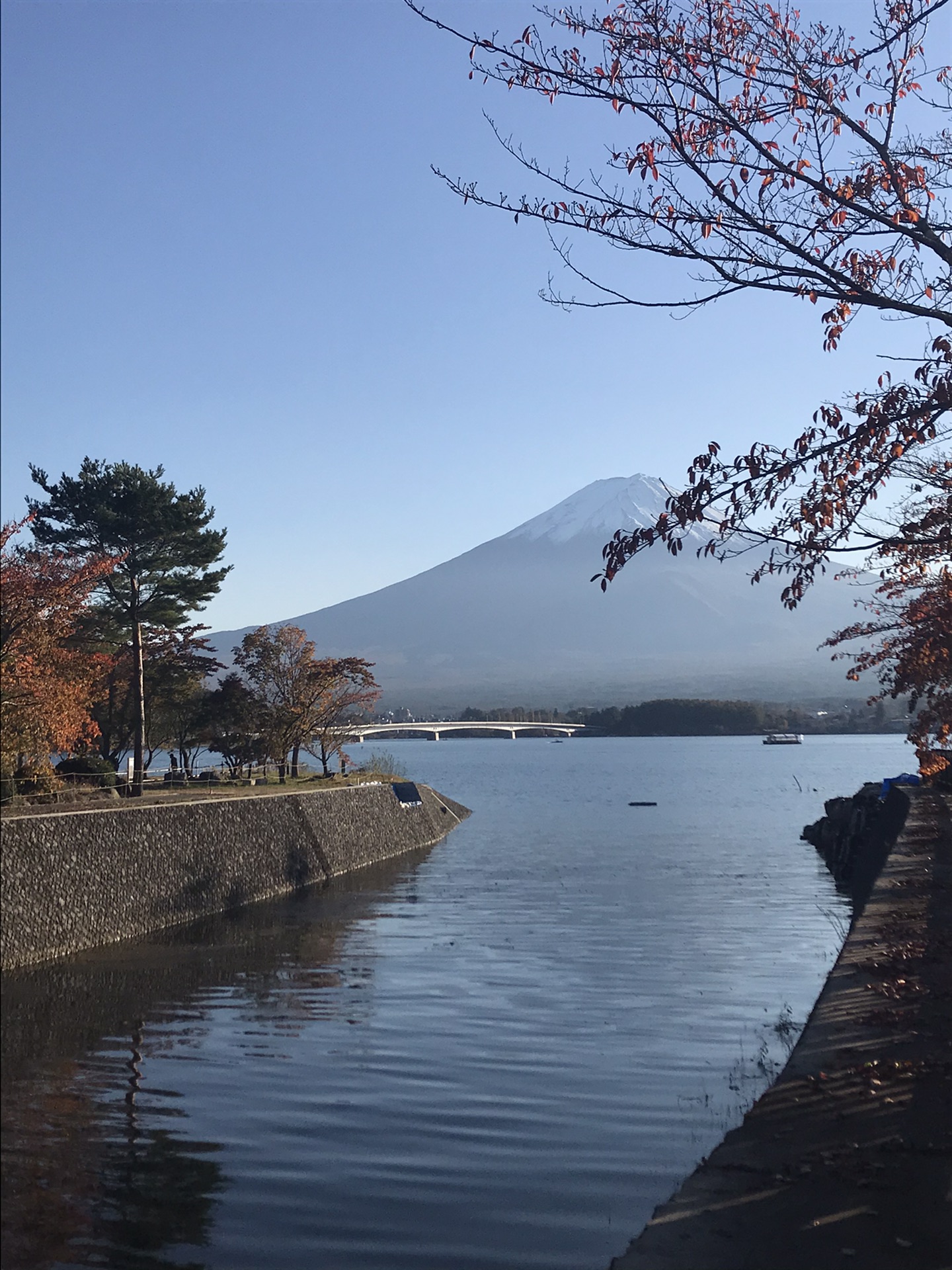 東京自助遊攻略