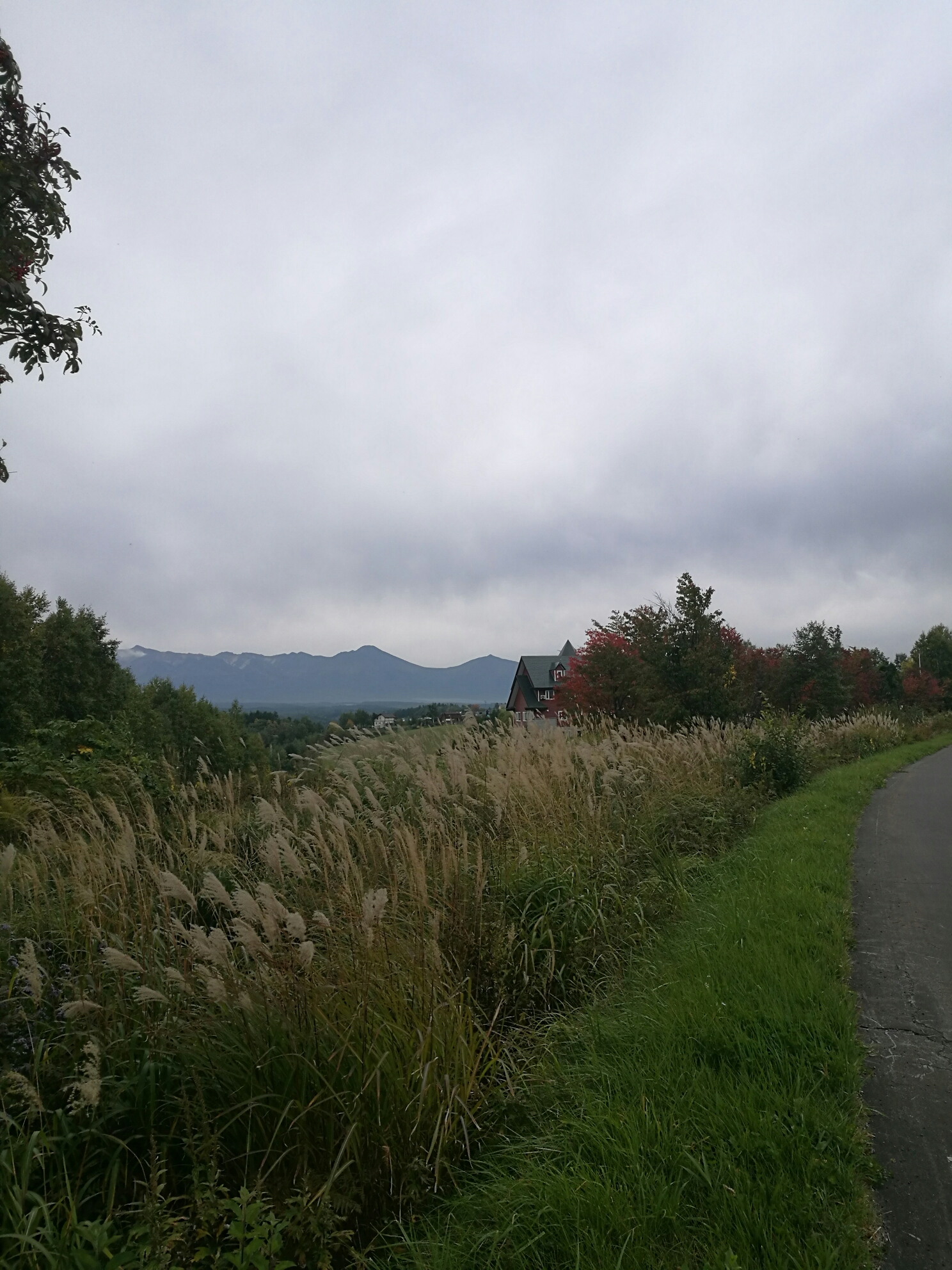 北海道自助遊攻略