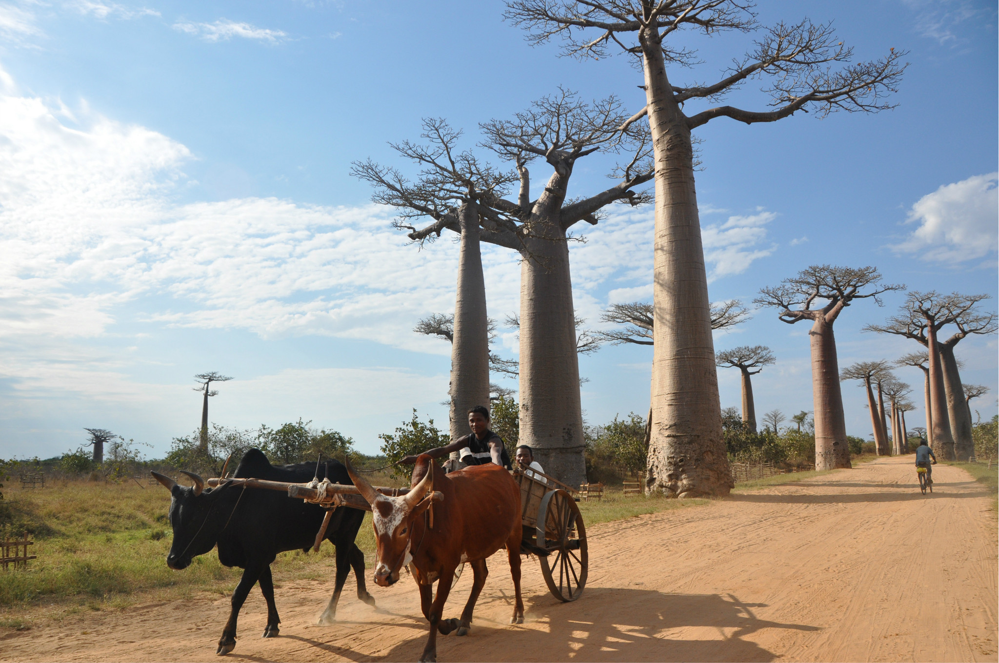 神秘的马达加斯加---寻根图片26,马达加斯加旅游景点,风景名胜 - 马