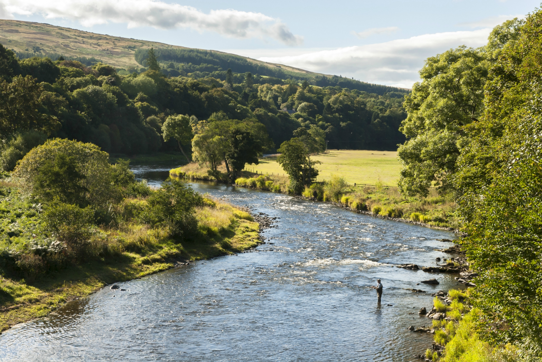 爱丁堡市到tweed河的野钓(fly fishing)