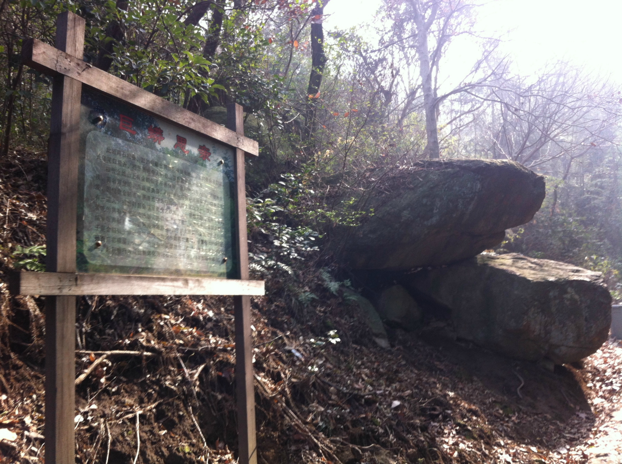 寧波橫溪亭溪嶺和雙石嶺古道圖片48,寧波旅遊景點,風景名勝 - 馬蜂窩