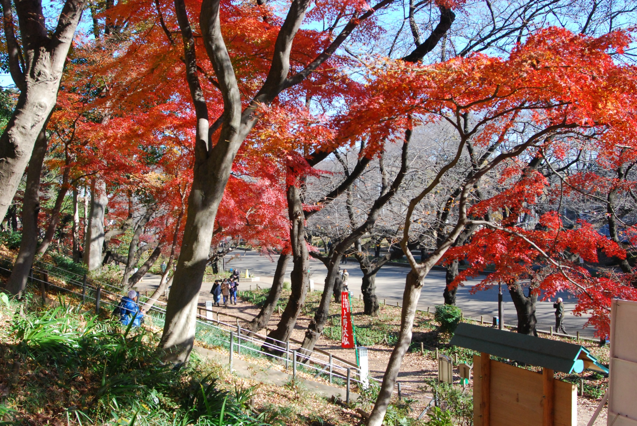 東京自助遊攻略