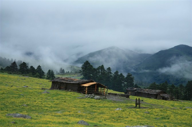 晨曦中的尼汝南宝牧场--尼汝游记--马蜂窝