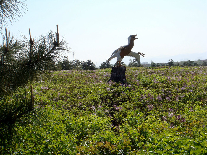 【圖片】朝陽鳥化石國家地質公園——第一隻鳥飛起的地方.