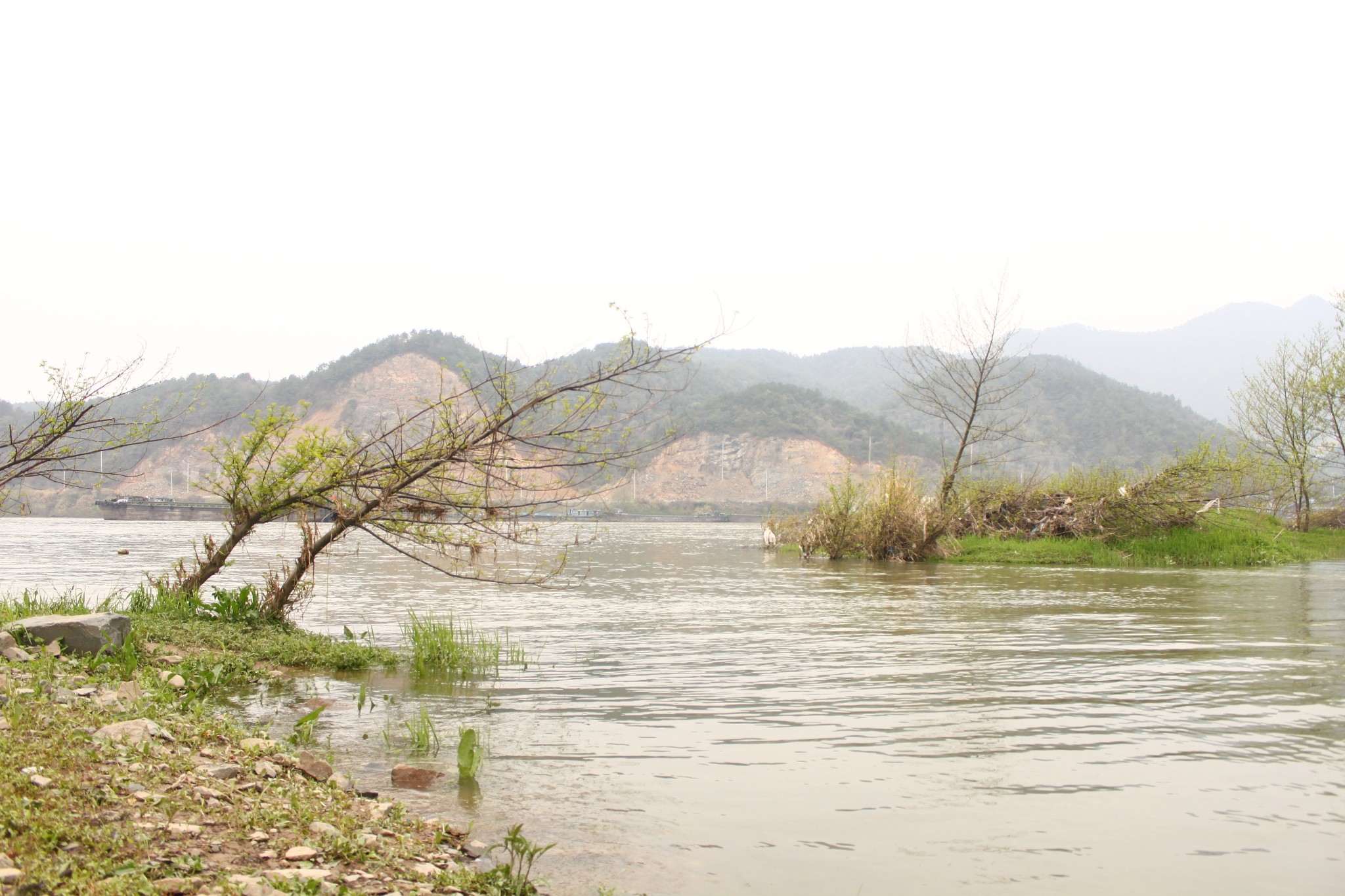 【圖片】【i-fuyang】杭州富陽桐洲島---《煙雨桐洲,最美.