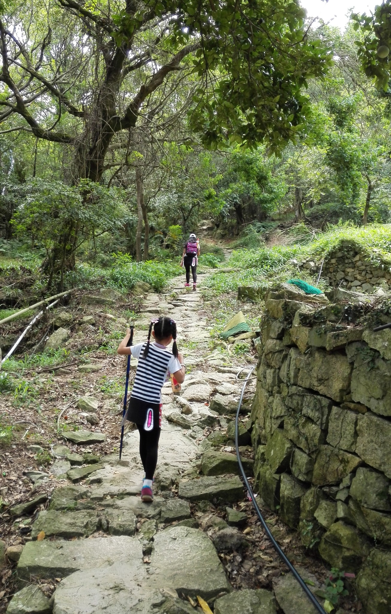 普陀山自助遊攻略