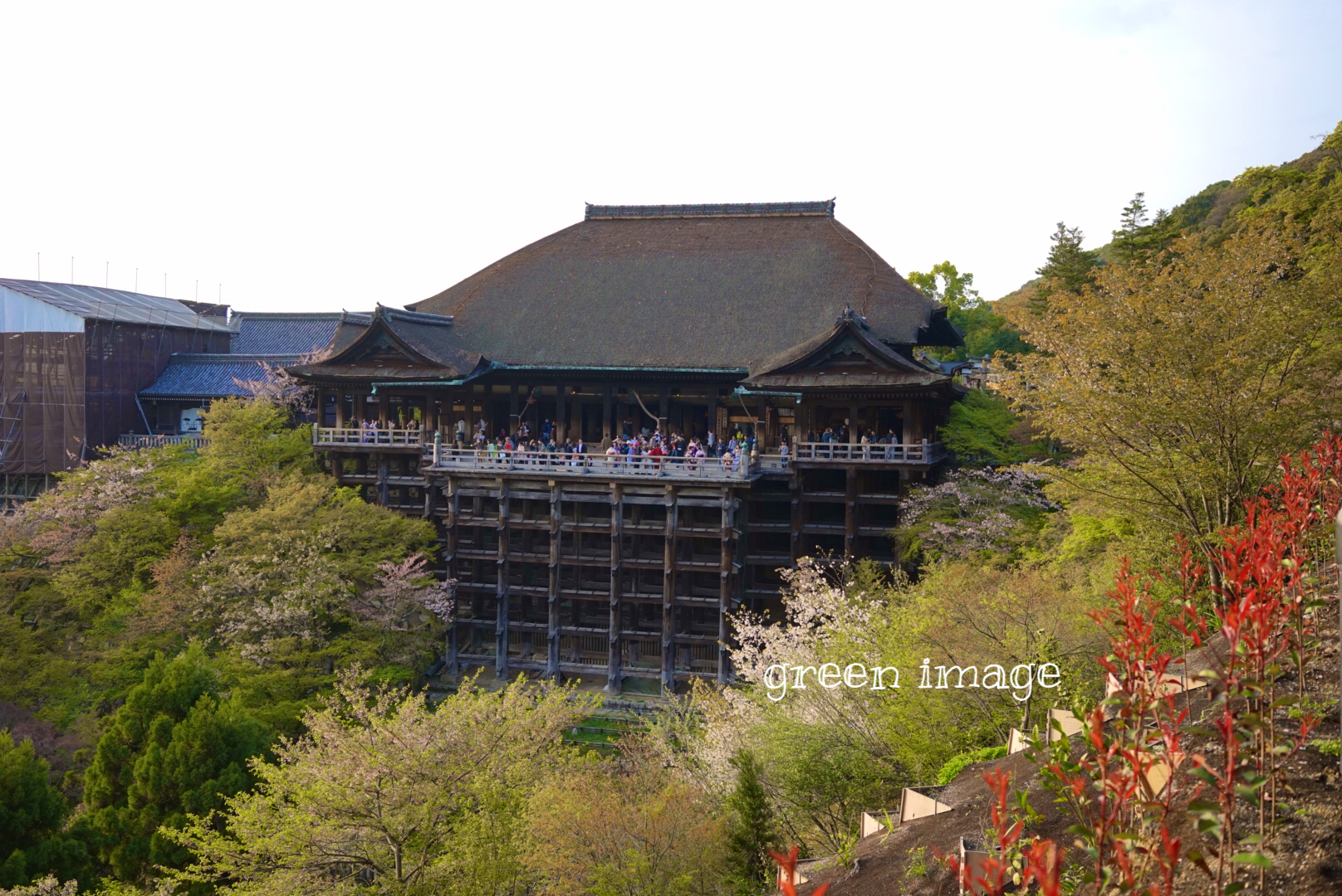 京都自助遊攻略