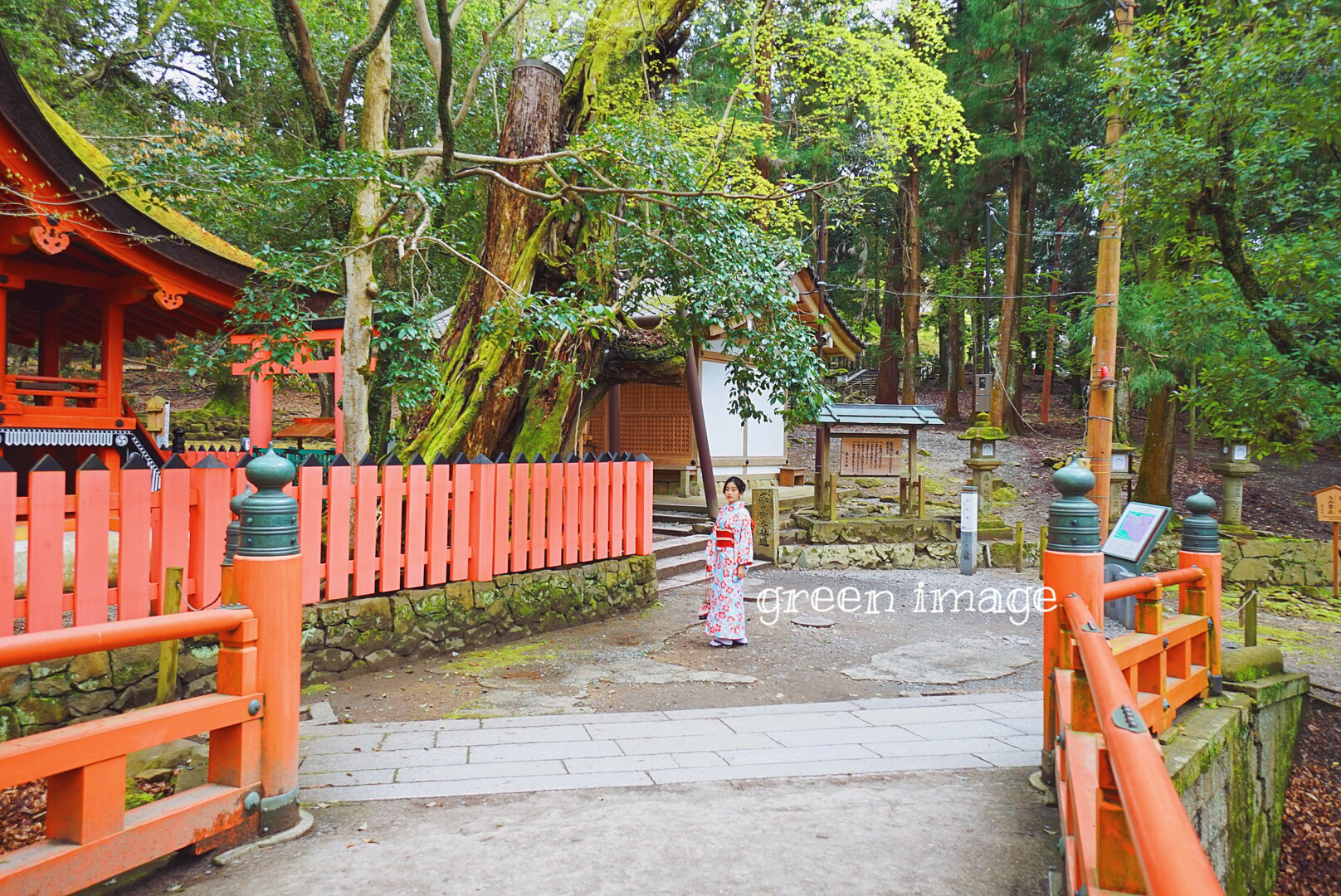 京都自助遊攻略