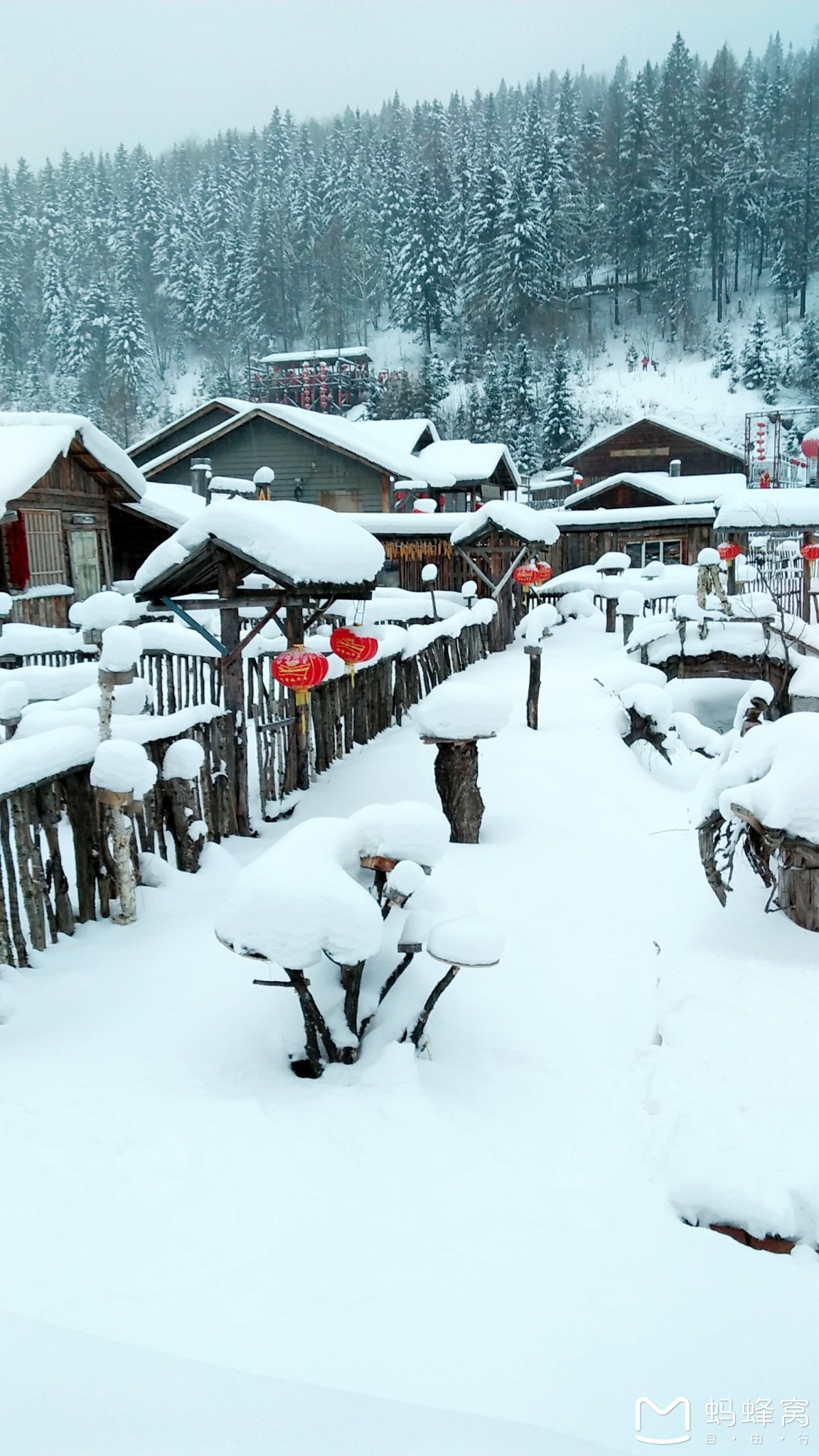 雪鄉自助遊攻略