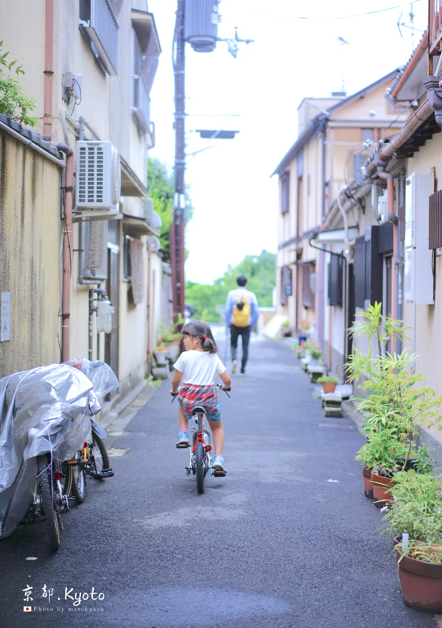 京都自助遊攻略