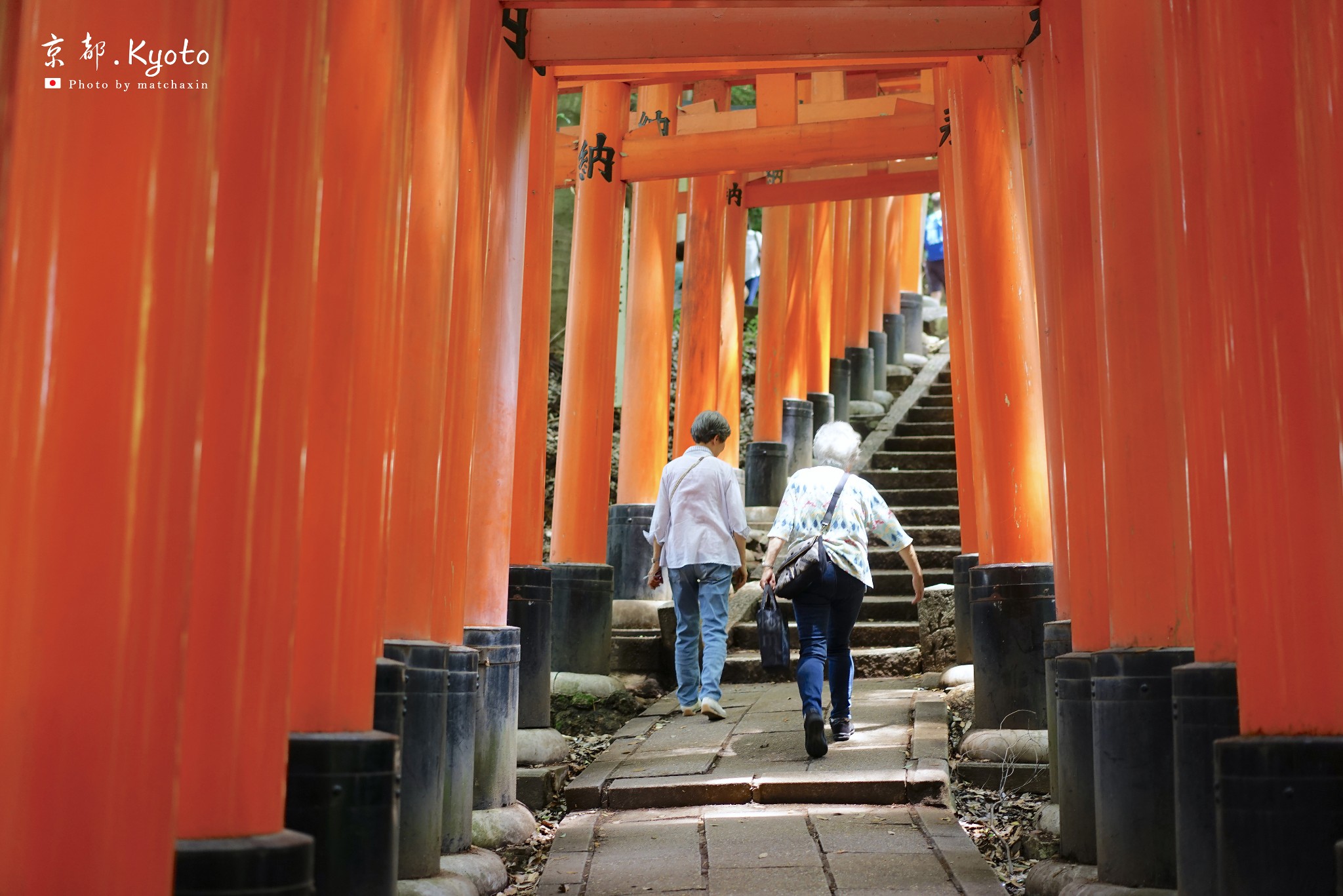 京都自助遊攻略