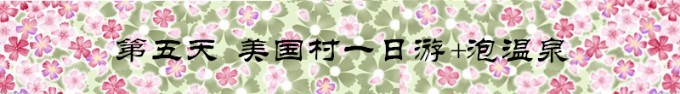 Day5 美国村一日游 Day5 美国村一日游
