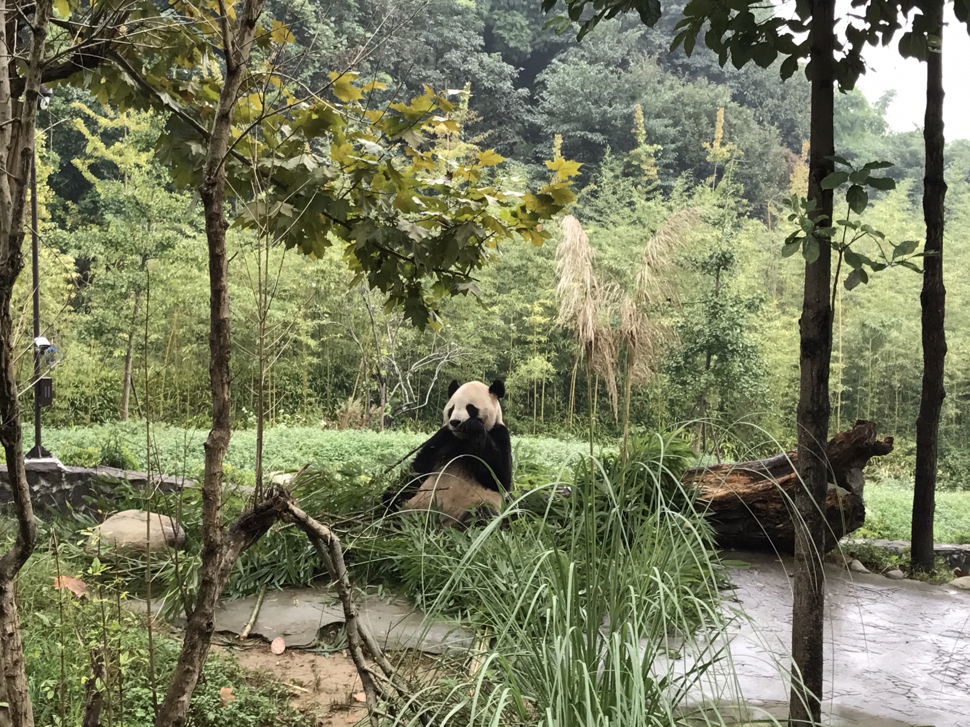 色達自助遊攻略