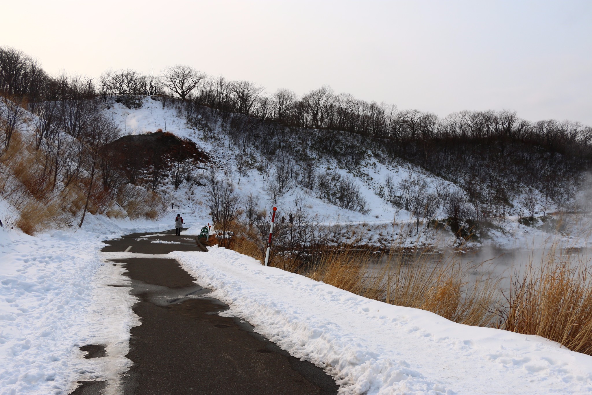 北海道自助遊攻略