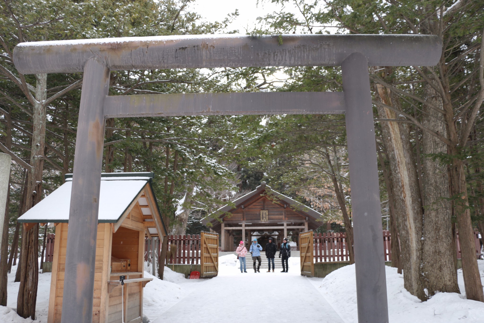 北海道自助遊攻略