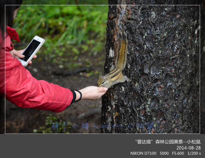 天津---丽江旅游全攻略