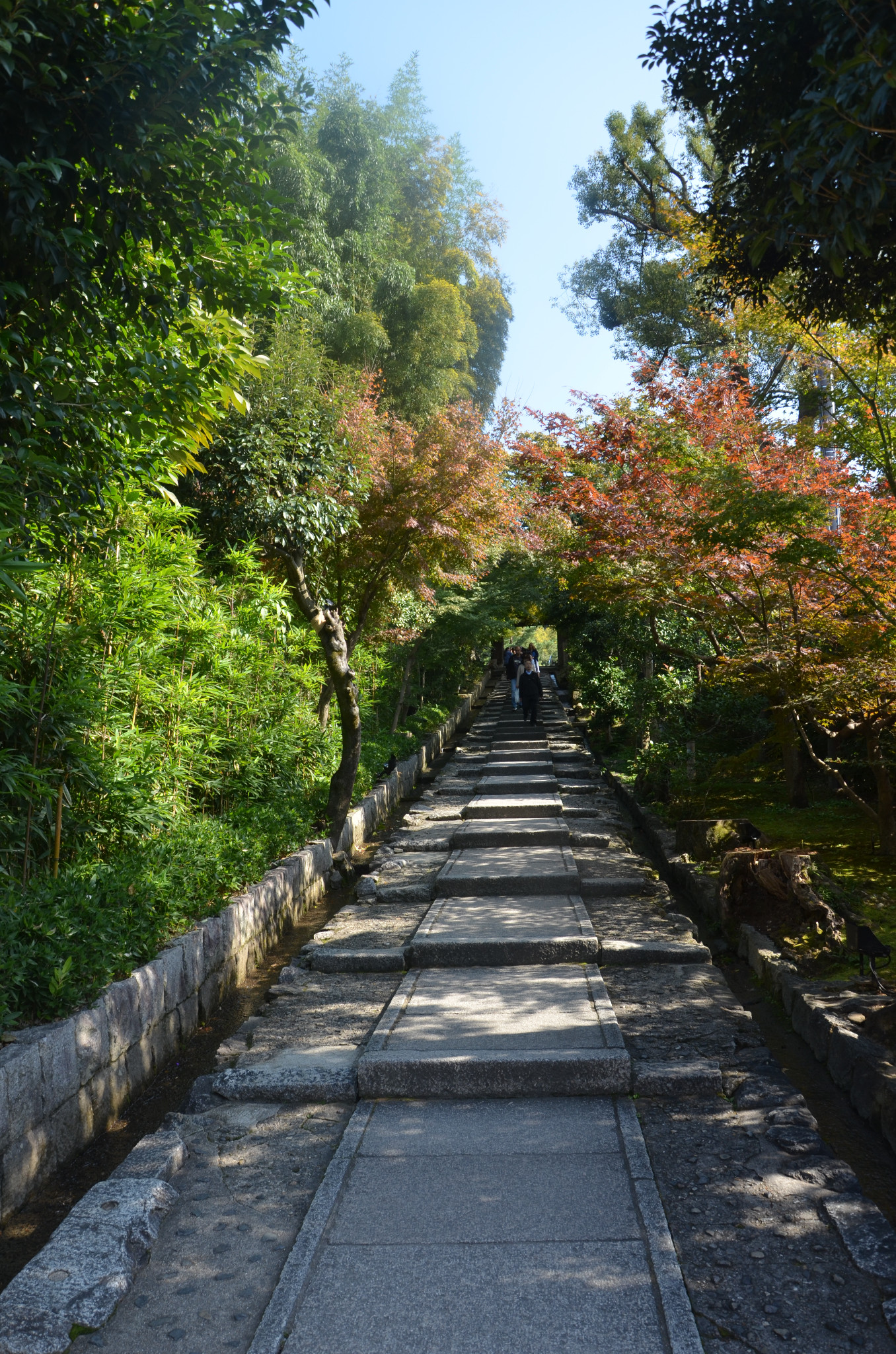 京都自助遊攻略