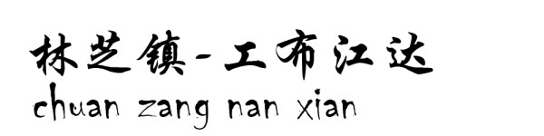 林芝镇----工布江达 林芝镇----工布江达