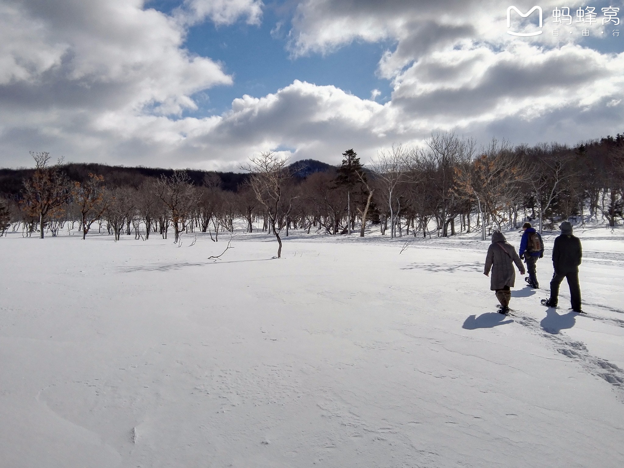 北海道自助遊攻略