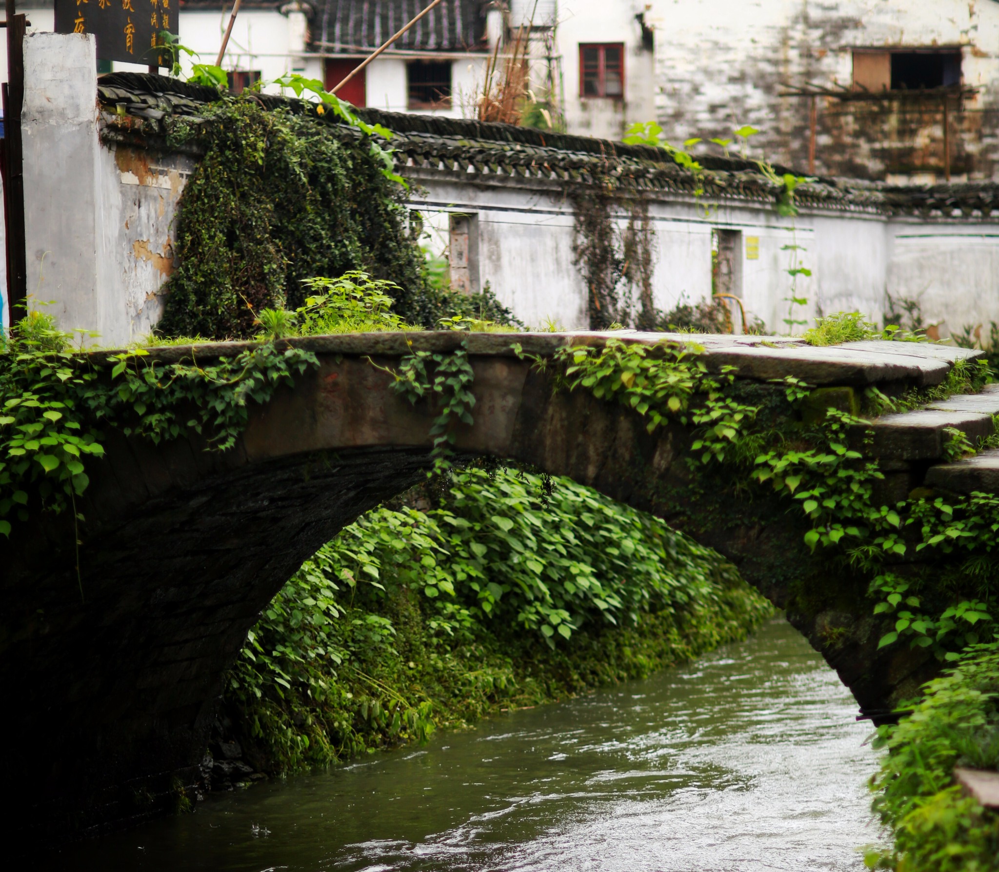 山重水路疑无路柳暗花明又一村猜成语