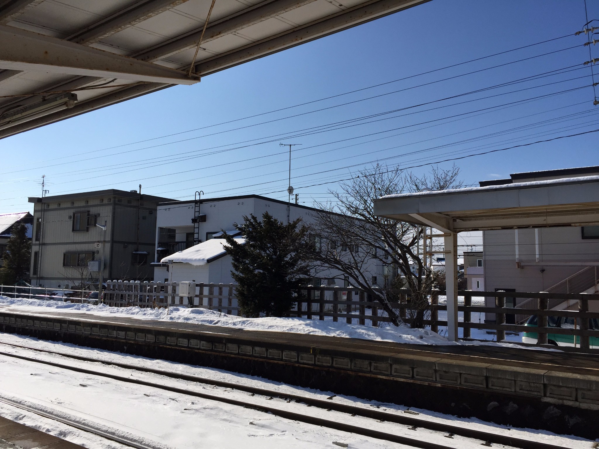 北海道自助遊攻略