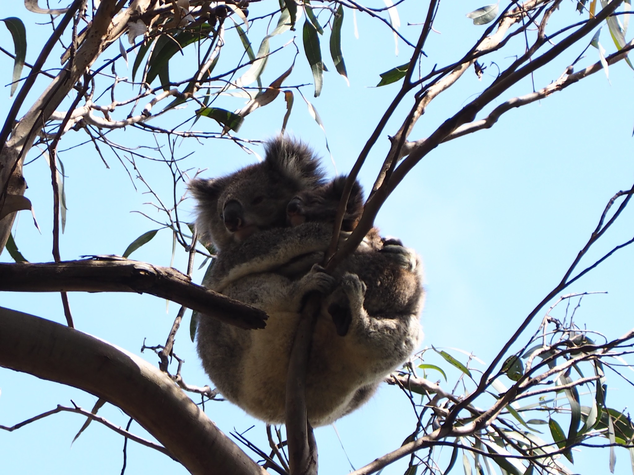 wKgBs1gqvciAQISDAAkmr2awfN401.jpeg?imageView2%2F2%2Fw%2F680%2Fq%2F90