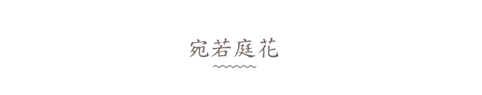 宛若庭花 宛若庭花