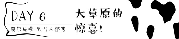Day 6 大草原上的惊喜! Day 6 大草原上的惊喜!