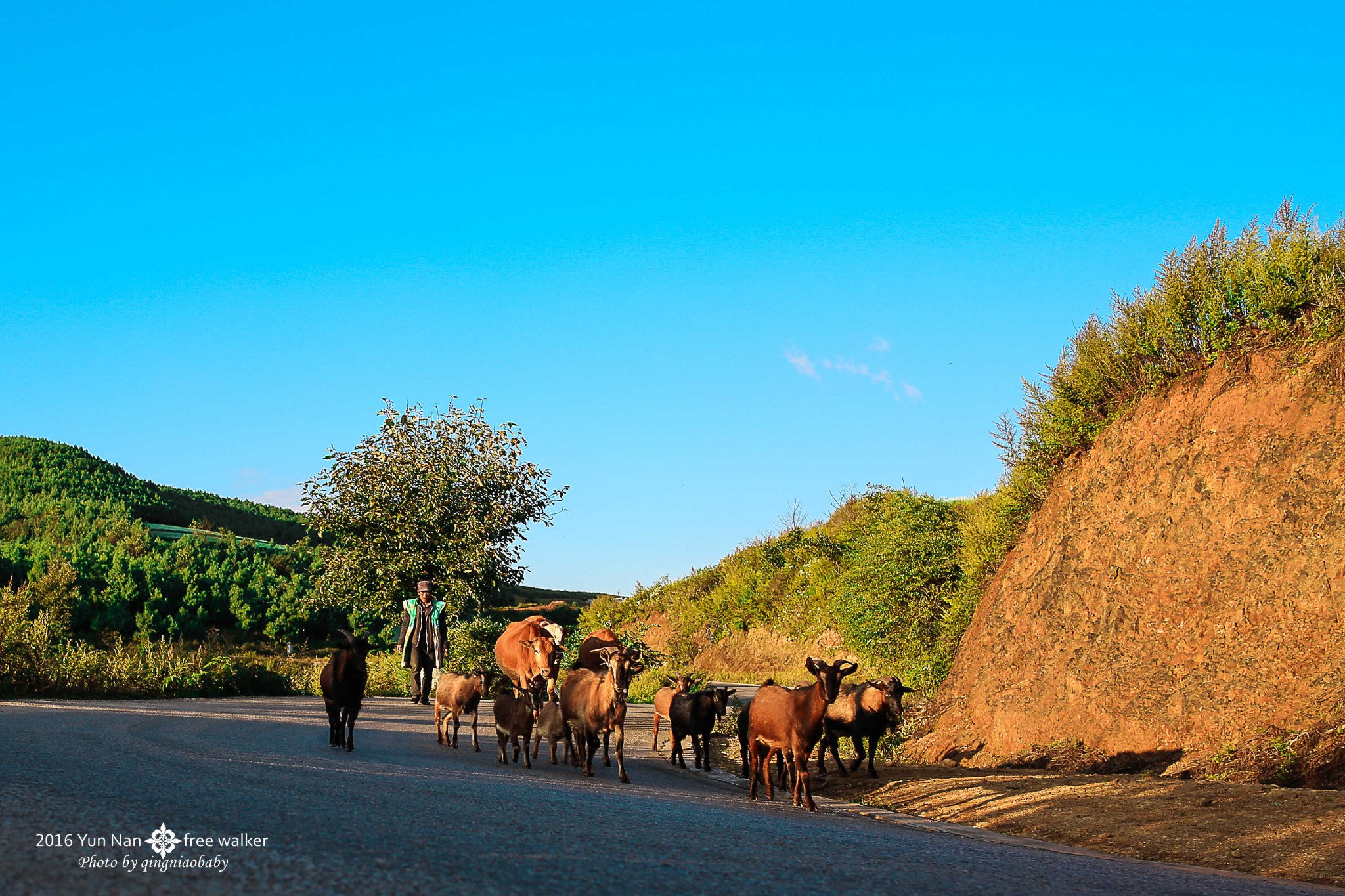 wKgBs1hH1gSAcI4_AAyWwXNE1Ac11.jpeg?imageView2%2F2%2Fw%2F680%2Fq%2F90%7CimageMogr2%2Fstrip%2Fquality%2F90