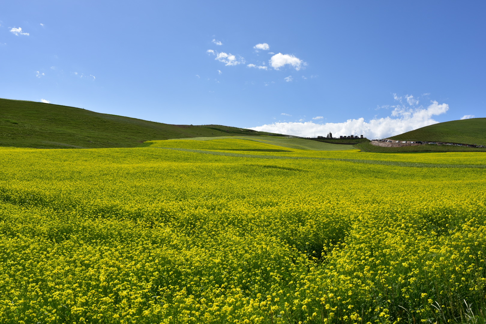 QiLian Zhuoer Mountain