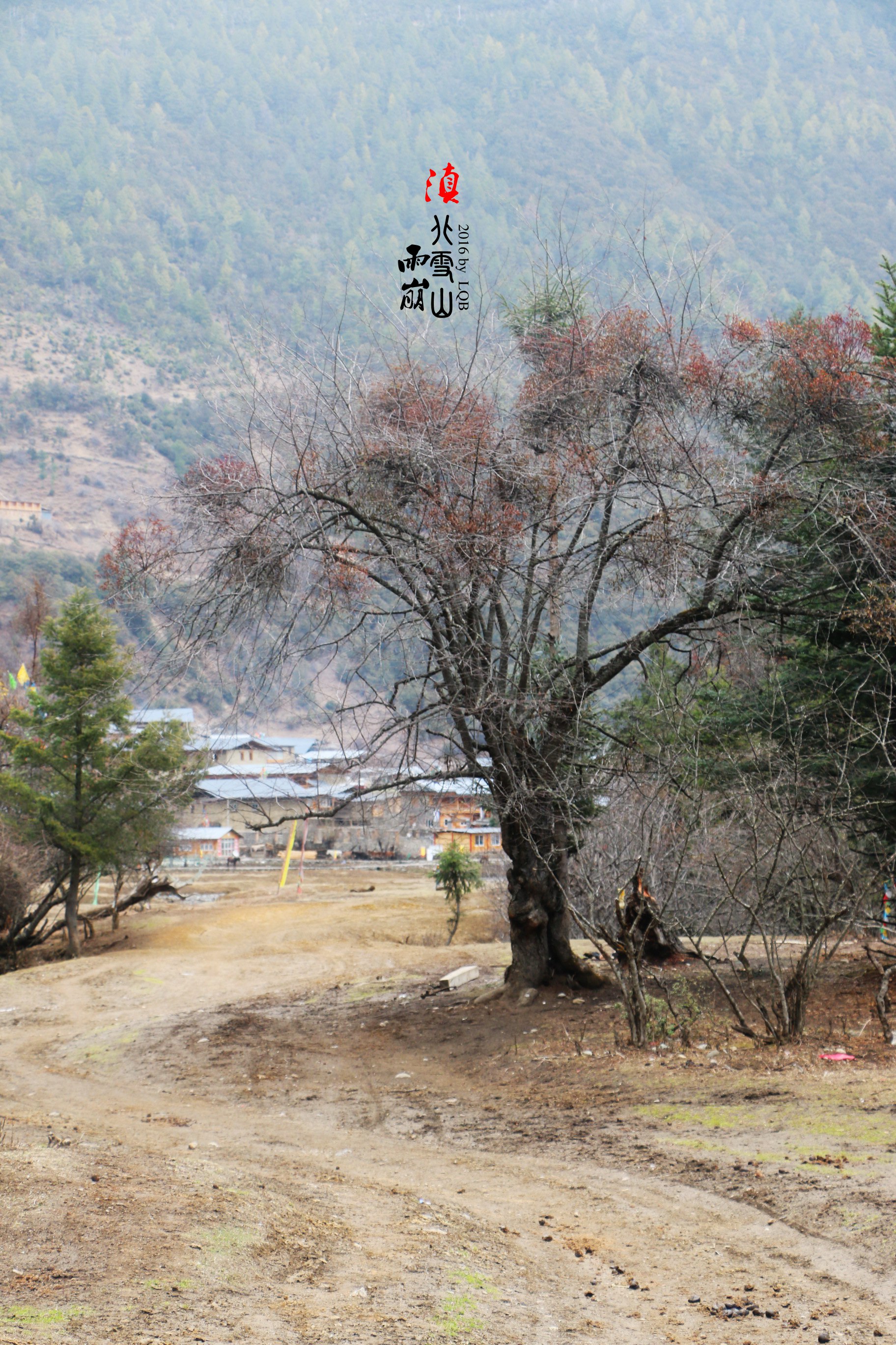 雨崩自助遊攻略