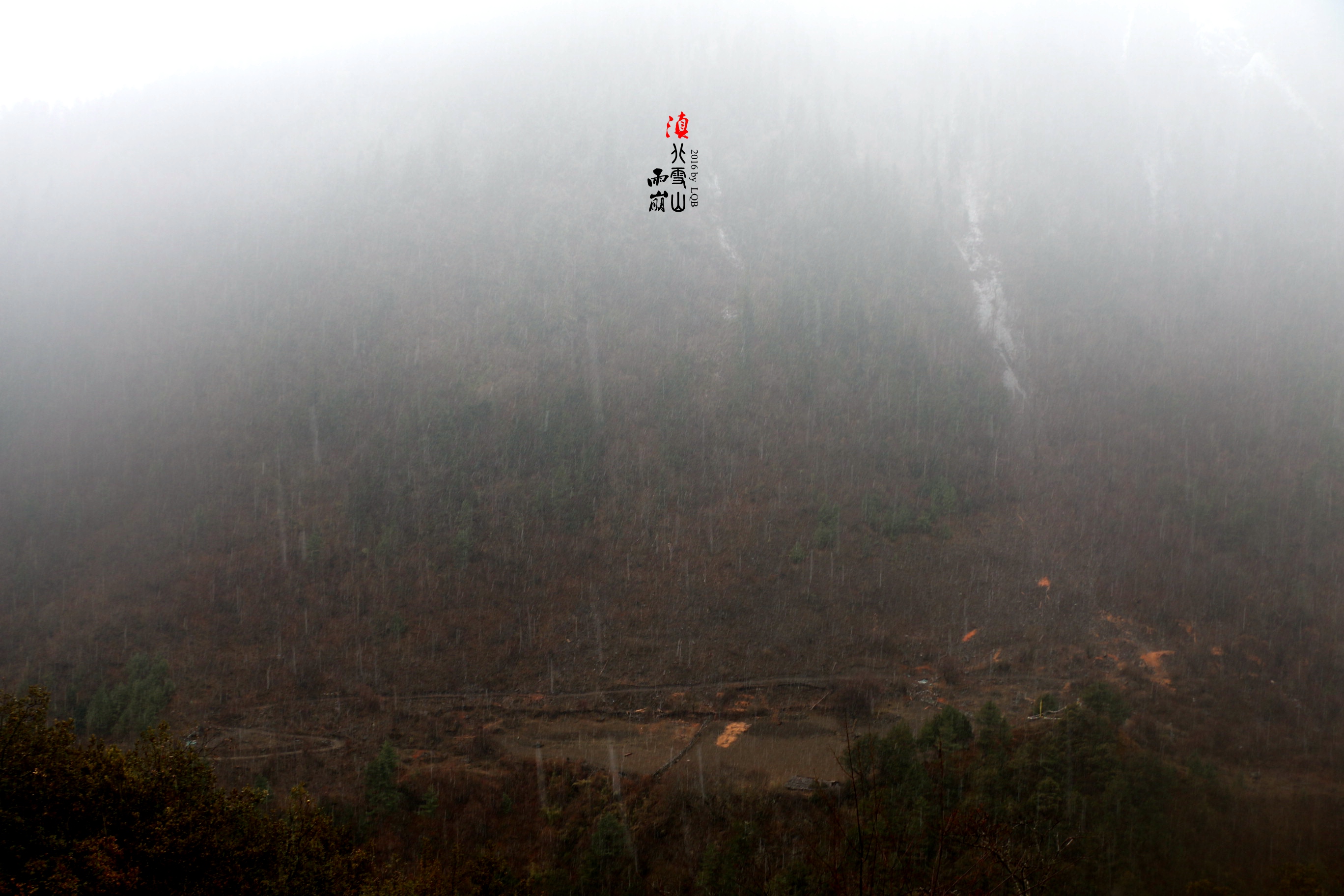 雨崩自助遊攻略