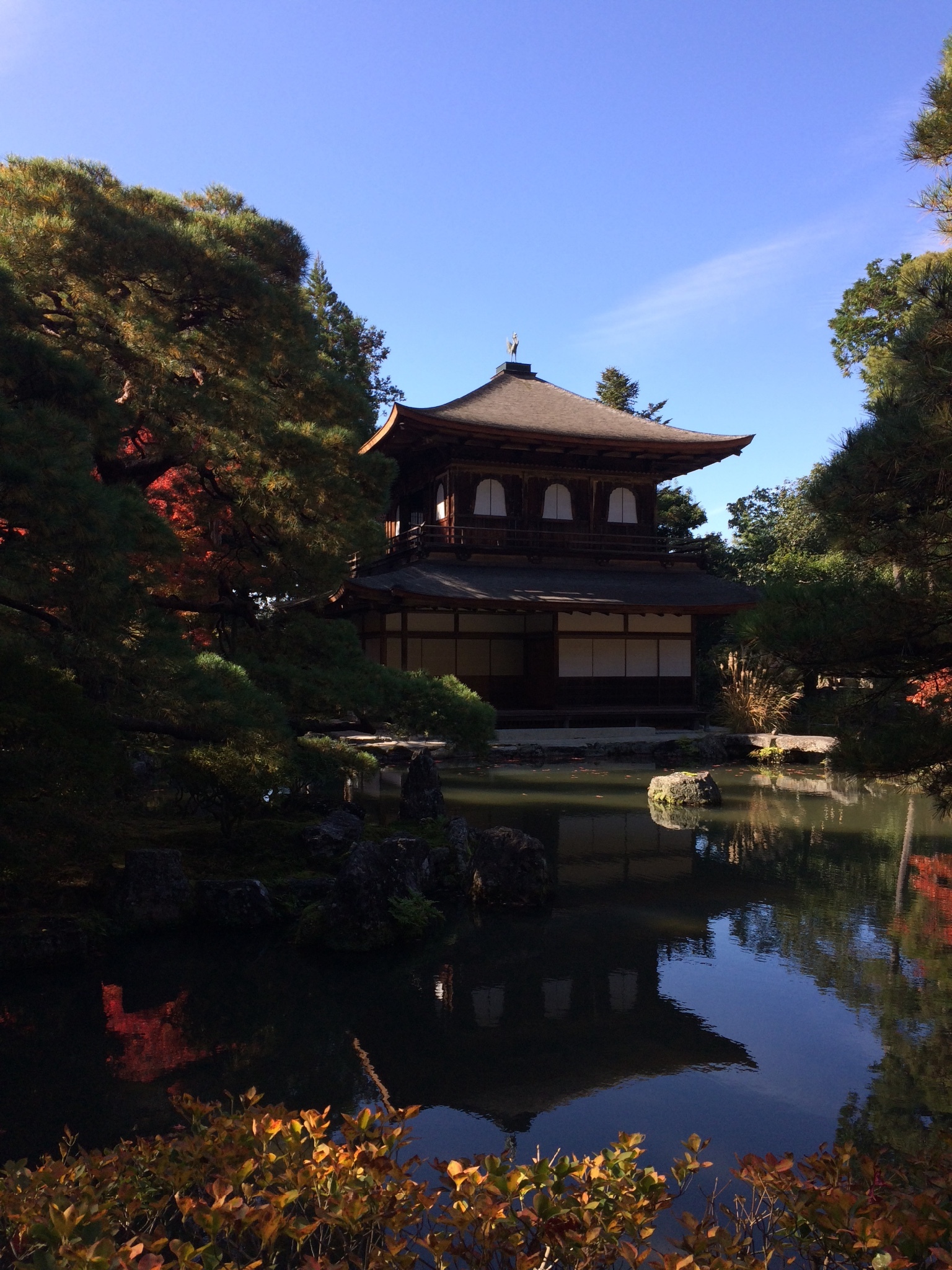 京都自助遊攻略