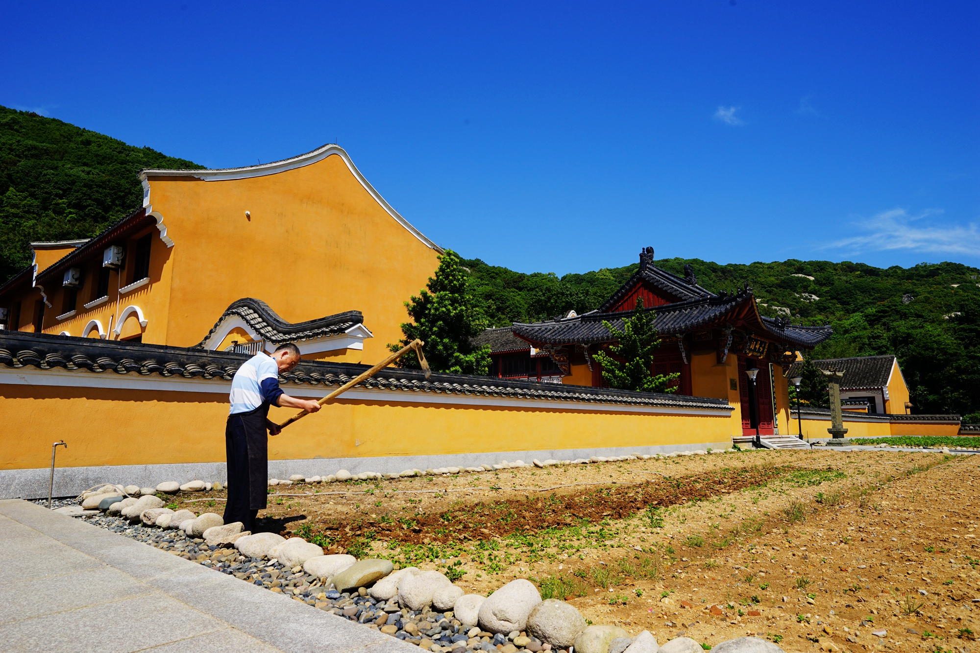 普陀山自助遊攻略