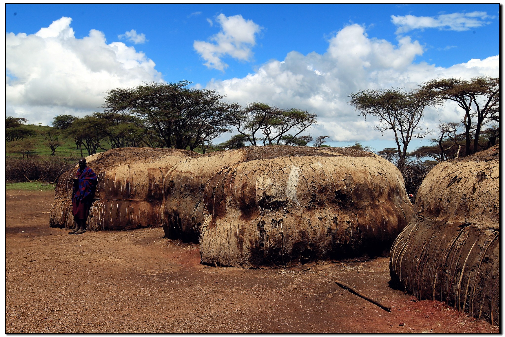 魅力坦桑,伟大的塞伦盖蒂图片966,马赛马拉国家保护区旅游景点,风景
